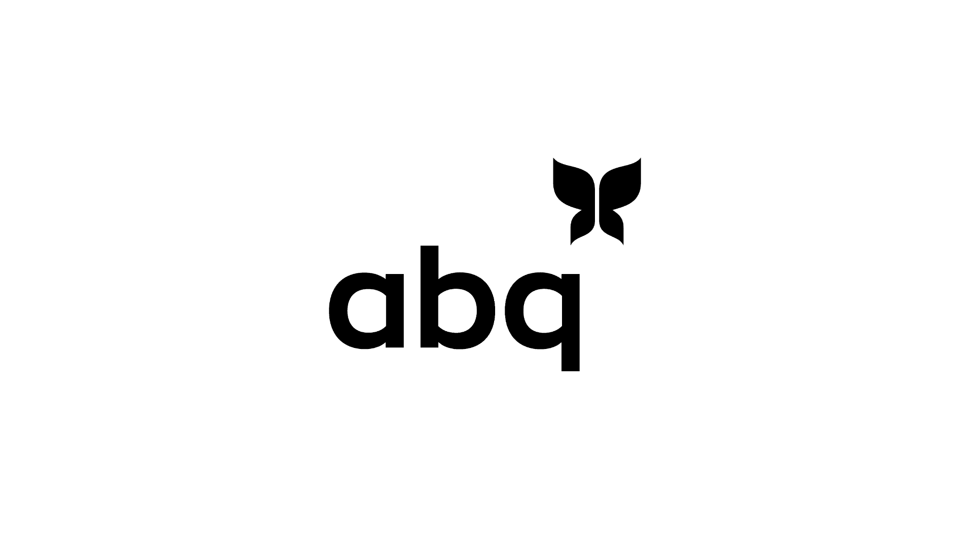 Partner 29